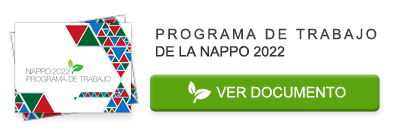 2022_WORK_PROGRAM_THUMB_SPANISH.png