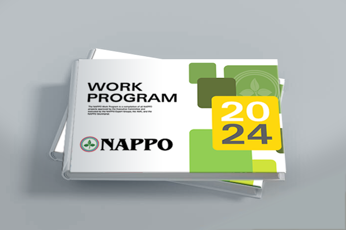 2024_workprogram_e.png